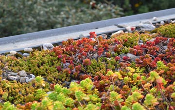 the cost of Balquhidder green roof installation