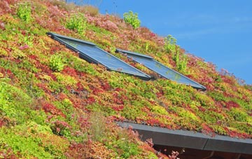 Balquhidder living roof systems