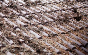 Balquhidder roof cleaning companies